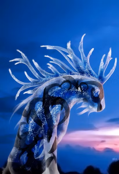 Daidarabotchi có thể coi là loài yêu quái khổng lồ nhất trong thần thoại Nhật Bản. Theo truyền thuyết, dấu chân của Daidarabotchi tạo ra vô số các hồ và ao trên xứ sở hoa anh đào.