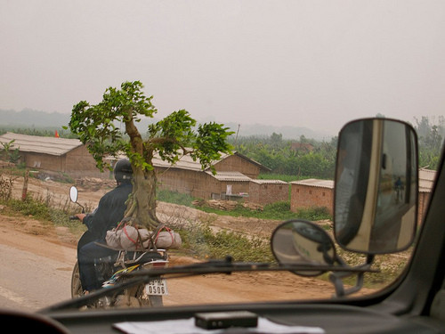 2. Xe máy không chỉ nhiều mà còn khiến cho bạn kinh ngạc vì khả năng chở đồ của chúng. Bạn sẽ không thể tin nếu tôi nói rằng chiếc màn hình LCD 42” của bạn có thể được chở phía sau một chiếc xe máy chỉ với một sợi dây sơ sài.