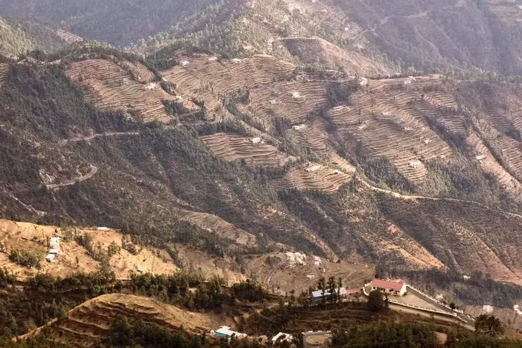 Ruộng bậc thang ở Dhanaulti, Uttarakhand, miền Bắc Ấn Độ.