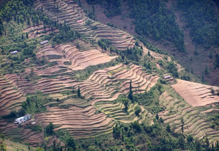 Ruộng bậc thang ở Uttanranchal, Ấn Độ.