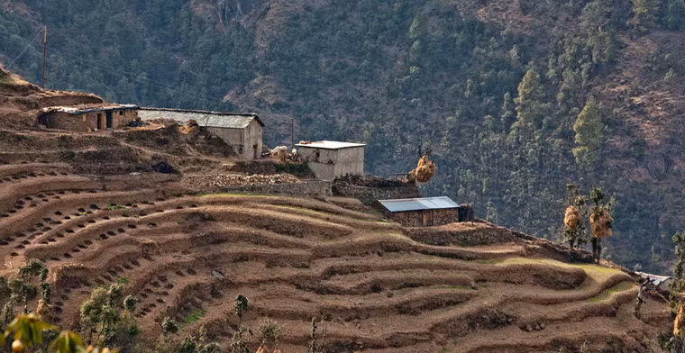 Những ngôi nhà chênh vênh bên sườn núi ở Dhanaulti.