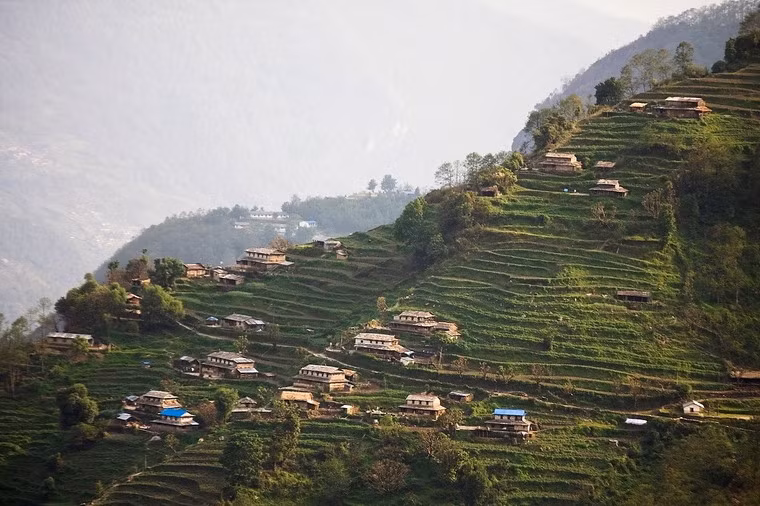 Những ngôi nhà nằm rải rác trên ruộng bậc thang ở vùng Annapurna, Nepal.