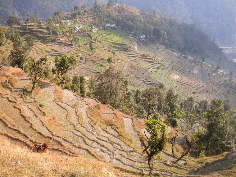 Ruộng bậc thang gần hồ Khair Lake, Kopra, Nepal.