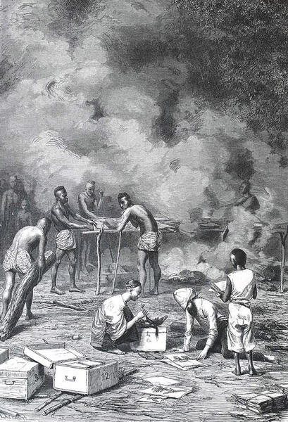 Làm tiêu bản của các loài động vật.