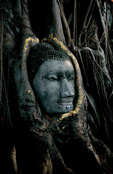 Điều này đã tạo nên một “kiệt tác” Phật giáo có một không hai, được cả thế giới biết đến.