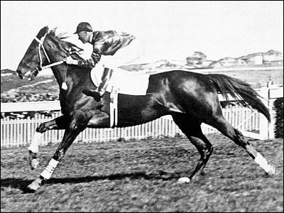 10. Chú ngựa giống New Zealand Phar Lap (nghĩa là "sấm sét" trong tiếng Thái) đã trở thành một biểu tượng quốc gia của Australia, nơi nó đã có 4 năm sự nghiệp trên trường đua. Chú ngựa có ngoại hình to lớn khác thường này đã giành chiến thắng 37/51 cuộc đua mình tham gia.