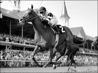 7. Affirmed được coi là một trong những ngựa đua hấp dẫn của thập kỷ 1970. Đây là chú ngựa đầu tiên trong lịch sử giành được tổng số giải thưởng trị giá hơn 2 triệu USD trong sự nghiệp của mình.