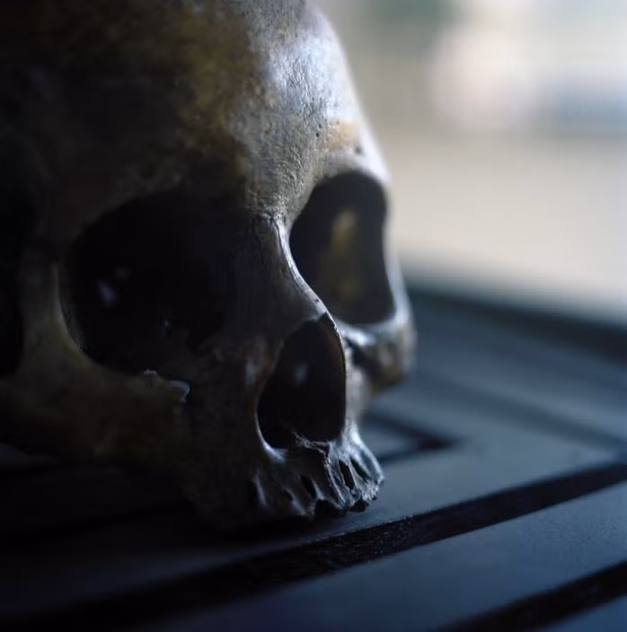 Trong hàng nghìn tù nhân đã bị tra tấn ở nhà tù Tuol Sleng, chỉ có một số ít người còn sống sót khi rời khỏi đây.