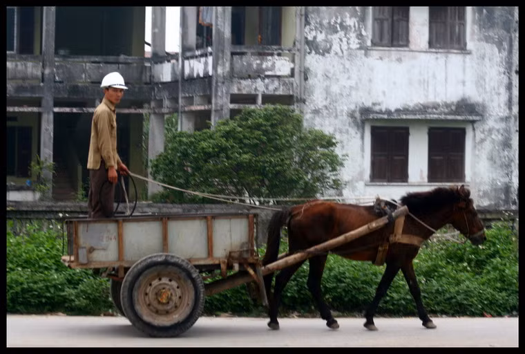 Kị sỹ La Mã cuối cùng? Ảnh: Konrad.