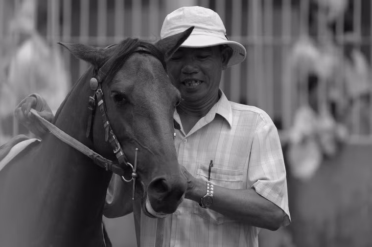 "Chiến mã" trên trường đua Phù Thọ, TP HCM 2008. Ảnh: Lawrence Rigby.