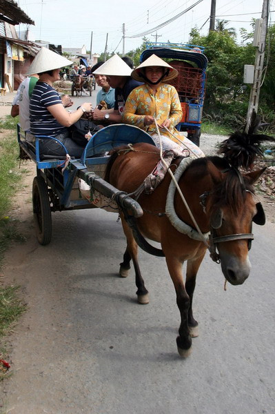 Ngựa chở khách ở ngoại ô TP HCM. Ảnh: Kirk Siang.