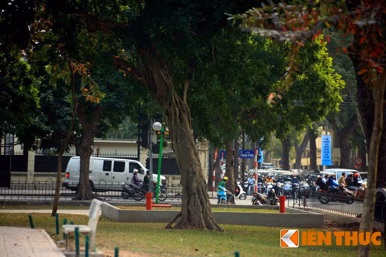 Hiện tượng đa bóp cổ là một minh chứng cho sự khắc nghiệt của cuộc đấu tranh sinh tồn trong tự nhiên.