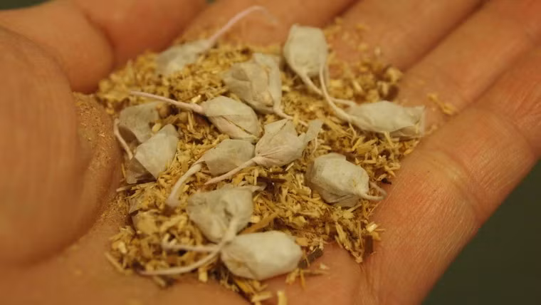 Pháo tỏi là loại nổ khi có va chạm với bề mặt cứng, như khi ném xuống đất, thậm chí là ném vào cơ thể người khác. Đây là loại pháo khá an toàn vì chỉ sử dụng một lượng thuốc pháo nhỏ.