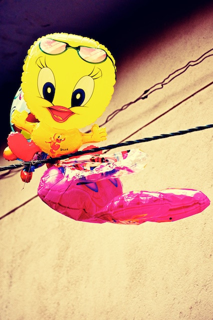 "Vật thể lạ" trên dây điện.