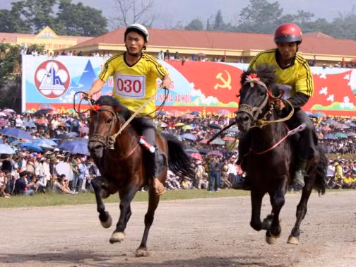 Lễ hội đua ngựa Bắc Hà. Ảnh: Thể thao & Văn hóa.