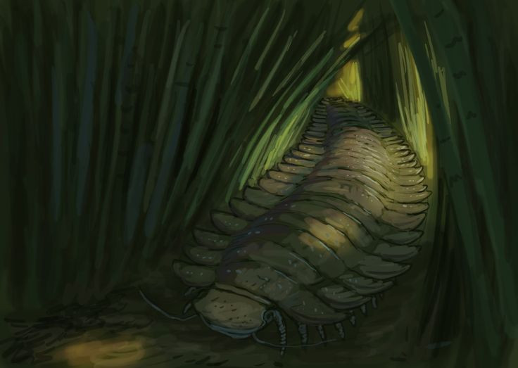  Không có thiên địch. Với kích thước khổng lồ và lớp vỏ cứng cáp, Arthropleura gần như không có kẻ thù tự nhiên trong môi trường sống của nó. Ảnh: Pinterest.