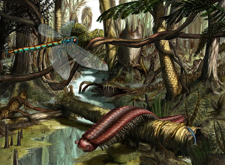  Không có hàm khỏe. Hóa thạch của Arthropleura không có dấu hiệu của bộ hàm lớn hoặc răng nanh sắc bén, củng cố giả thuyết chúng là loài ăn thực vật. Ảnh: Pinterest.