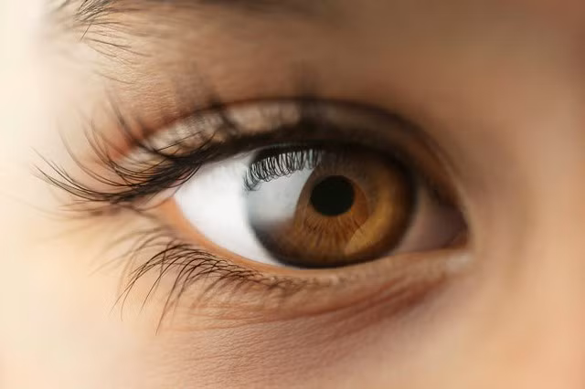  Họ có thể phát hiện nhạy bén những biến động của thị trường trên thị trường đầu tư và thu được lợi nhuận cao. Những tài năng như vậy có nhiều khả năng sở hữu số lượng lớn bất động sản và tài sản. 