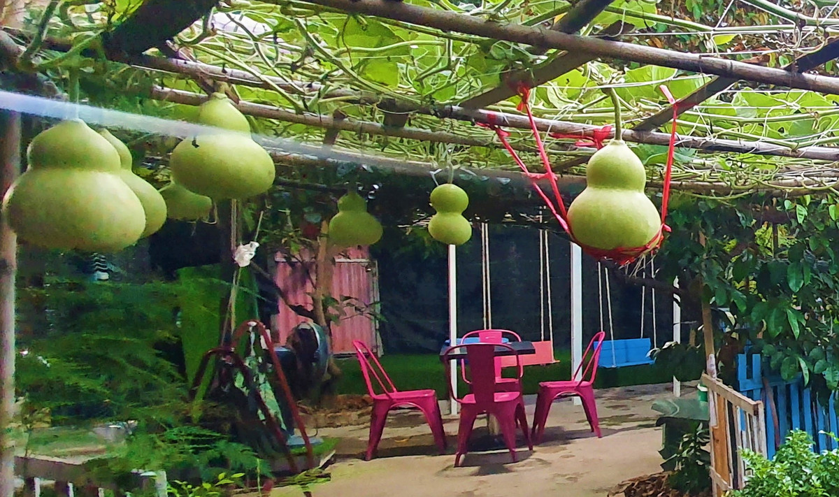 Quả bầu có phần trên nhỏ, phần dưới lớn, có tác dụng hấp thụ tà khí, giúp gia đình bình an, cát tường và thịnh vượng hơn. Vì vậy, việc trồng một quả bầu trong nhà hoặc treo vật trang trí trên bầu có thể đóng vai trò xua đuổi tà ma, bảo vệ ngôi nhà. Người xưa cho rằng trồng bầu tại nhà có thể giữ an toàn cho gia đình bạn. 