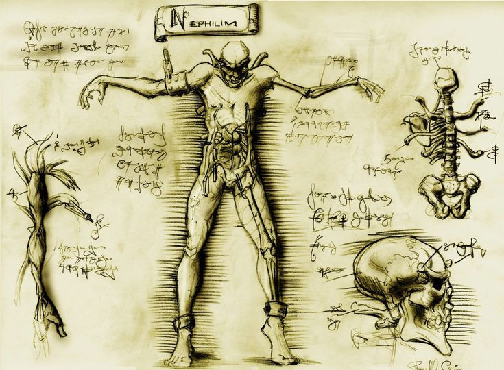  8. Bằng chứng khảo cổ? Một số người tuyên bố đã tìm thấy bằng chứng về xương người khổng lồ, nhưng chưa có khám phá nào được xác nhận bởi giới khoa học chính thống. Ảnh: Pinterest.