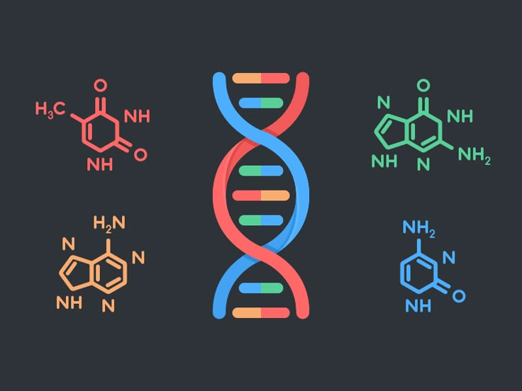  8. Tia X giúp khám phá cấu trúc DNA. Năm 1952, Rosalind Franklin sử dụng nhiễu xạ tia X để chụp ảnh DNA, góp phần vào việc khám phá cấu trúc xoắn kép của nó. Ảnh: Pinterest.