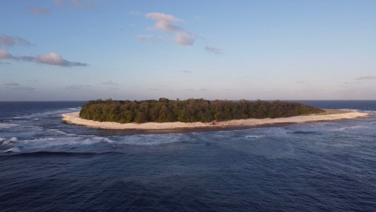  Suy đoán về căn cứ bí mật. Một số người cho rằng khu vực này có thể là căn cứ quân sự bí mật và bị Google làm mờ để tránh lộ thông tin. Ảnh: pbs.twimg.com.