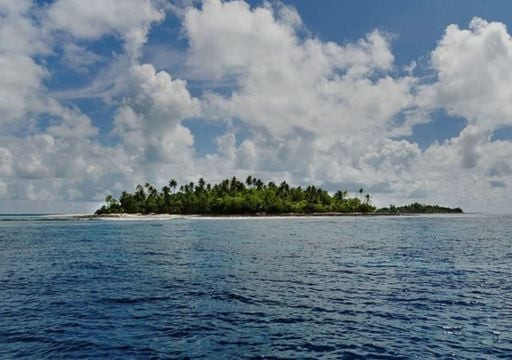  Thảm thực vật dày đặc. Đảo Vostok được bao phủ bởi rừng cây dày đặc, tạo ra màu đen khi nhìn từ trên cao, dẫn đến hiểu lầm về một "hố đen" trên bản đồ. Ảnh: services.meteored.com.