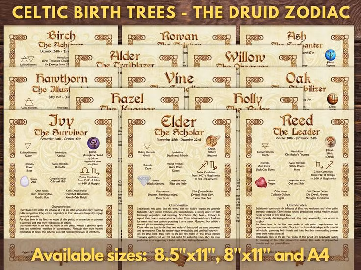 9. Có thể tiết lộ "bản ngã" của mỗi người. Chiêm tinh học Druid không chỉ dự đoán tương lai mà còn giúp mỗi người hiểu rõ tính cách, điểm mạnh, điểm yếu và con đường phát triển bản thân. Ảnh: Pinterest.