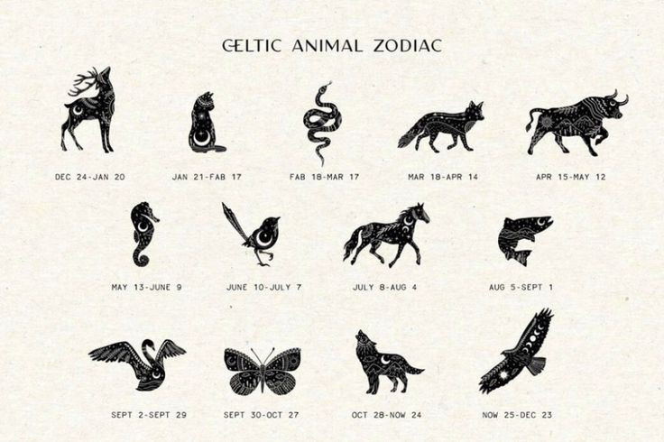 4. Có cả cung động vật Celtic. Ngoài cây cối, chiêm tinh học Druid còn có hệ thống cung động vật gồm 13 loài, như Cú, Nai, Sói, Rồng... Tương tự như cung hoàng đạo phương Tây, mỗi con vật đại diện cho tính cách của người sinh ra dưới dấu hiệu đó. Ảnh: Pinterest.