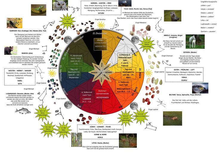 10. Vẫn còn ảnh hưởng đến hiện đại. Ngày nay, nhiều người vẫn thực hành chiêm tinh Druid, kết hợp nó với các phương pháp chữa lành bằng thiên nhiên và tâm linh. Một số hệ thống chiêm tinh hiện đại lấy cảm hứng từ phương pháp này để tạo ra những bài đọc vận mệnh theo cây cối. Ảnh: Pinterest.
