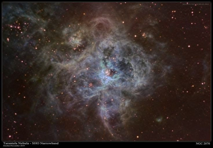  7. Là phòng thí nghiệm tự nhiên cho các nhà thiên văn học. Với cường độ hình thành sao mạnh mẽ và điều kiện tương tự các thiên hà sơ khai, Tinh vân Tarantula là một "phòng thí nghiệm" quan trọng giúp nghiên cứu sự ra đời và tiến hóa của sao. Ảnh: Pinterest.