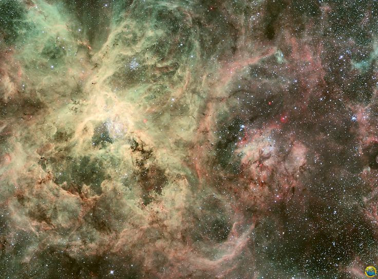  1. Là một trong những tinh vân sáng nhất. Tinh vân Tarantula (30 Doradus) là một trong những tinh vân sáng nhất và lớn nhất mà con người biết đến, có thể nhìn thấy bằng mắt thường dù nằm cách Trái Đất khoảng 160.000 năm ánh sáng. Ảnh: Pinterest.