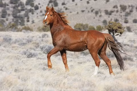  Đối với những ai chưa có nền tảng vững chắc, đây là thời điểm thích hợp để mở rộng hiểu biết từ nhiều nguồn khác nhau, giúp nâng cao kỹ năng cũng như tối ưu hóa cuộc sống cá nhân. 