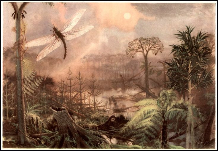  7. Có thể bay lượn một cách cực kỳ hiệu quả. Với cặp cánh mạnh mẽ và khả năng điều khiển độc lập hai bên cánh, Meganeura có thể lơ lửng trên không trung hoặc thực hiện những cú bay nhanh và chính xác. Ảnh: Pinterest.