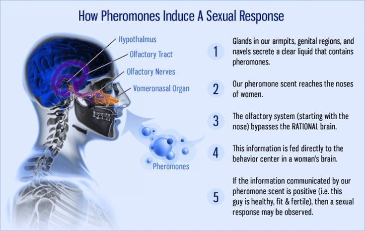  9. Pheromone có tiềm năng trong nghiên cứu y học và sinh học. Các nhà khoa học đang nghiên cứu cách sử dụng pheromone để kiểm soát sâu bệnh mà không cần dùng thuốc trừ sâu, cũng như ứng dụng chúng trong y học để điều chỉnh hành vi hoặc cảm xúc của con người một cách tự nhiên. Ảnh: Pinterest.