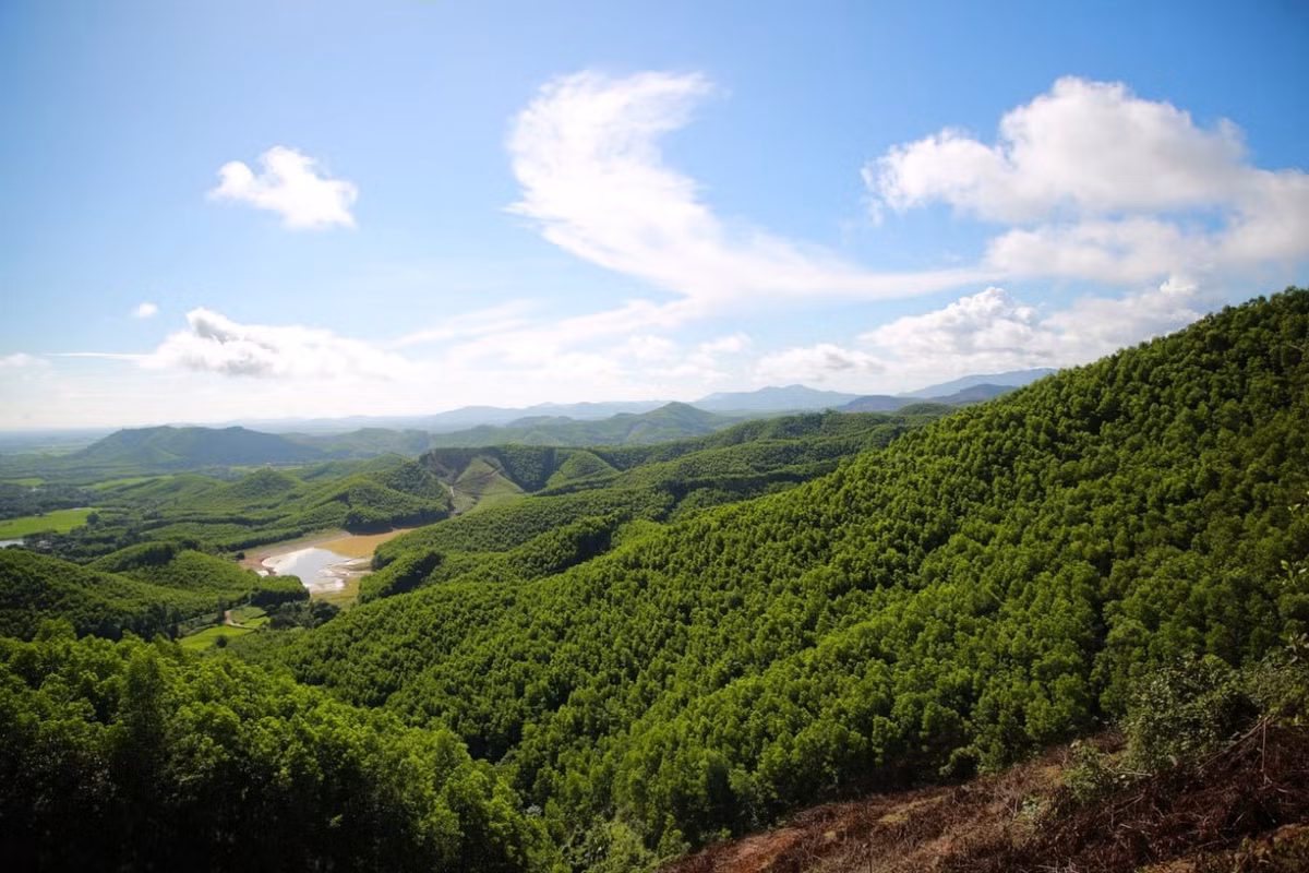 Hệ sinh thái của VQG Bến En rất đa dạng với hơn 1.300 loài thực vật và hơn 1.000 loài động vật đã được ghi nhận, trong đó có nhiều loài quý hiếm như voọc xám, báo hoa mai, khỉ mặt đỏ. Ảnh: Sài Gòn Tiếp Thị.