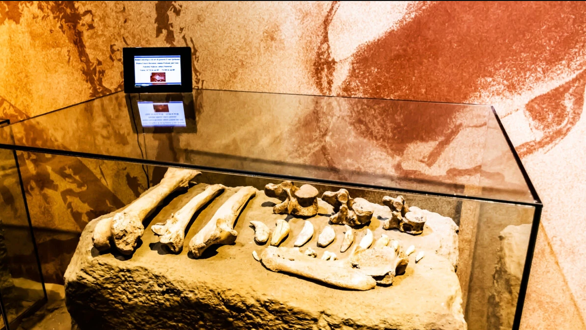 Phát hiện tại di chỉ Grăunceanu có niên đại sớm hơn bằng chứng về sự hiện diện của Hominini ngoài châu Phi được biết đến trước đây, tiêu biểu là di chỉ Dmanisi ở Georgia, có niên đại khoảng 1,8 triệu năm trước. Ảnh: Click Oil and Gas.