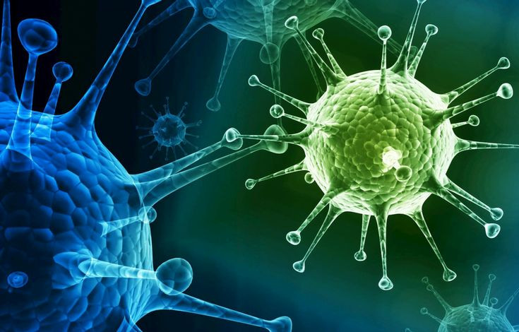  2. Phát hiện virus cúm (1933). Trước khi có vắc xin, các nhà khoa học chưa xác định được virus cúm là tác nhân gây bệnh. Năm 1933, ba nhà khoa học người Anh Wilson Smith, Christopher Andrews và Patrick Laidlaw đã phân lập được virus cúm A, đặt nền móng cho nghiên cứu vắc xin. Ảnh: Pinterest.