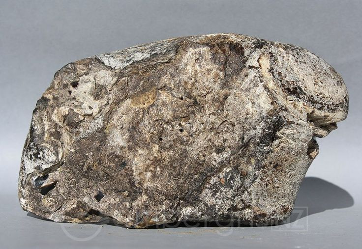  5. Có thể tìm thấy trên bãi biển. Một số người tình cờ tìm thấy long diên hương trôi dạt vào bờ biển, biến họ thành triệu phú trong chớp mắt. Ảnh: Pinterest.