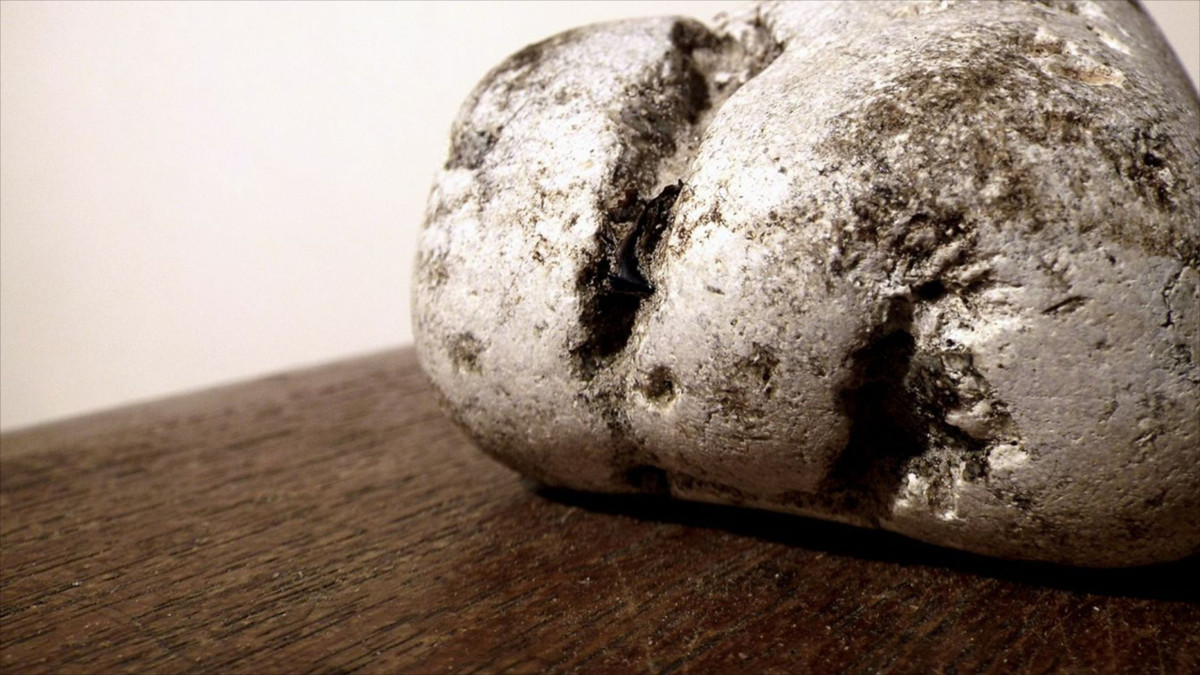  10. Hiện nay được thay thế bởi chất tổng hợp. Hầu hết nước hoa ngày nay sử dụng ambroxan, một hợp chất tổng hợp thay thế long diên hương, vì long diên hương quá đắt đỏ và có nguồn cung không ổn định. Ảnh: Pinterest.