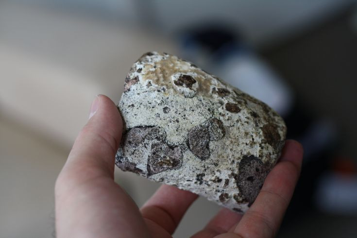  7. “Hương thơm từ nước dãi rồng”. Tên “long diên hương” (龍涎香) trong tiếng Hán có nghĩa là “hương thơm từ nước dãi rồng”, phản ánh sự huyền bí và giá trị cao của nó. Ảnh: Pinterest.