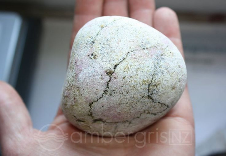  8. Có thể ăn được. Trong quá khứ, long diên hương từng được dùng làm gia vị cho món ăn hoàng gia. Vua Charles II của Anh thích ăn trứng rán với long diên hương. Ảnh: Pinterest.