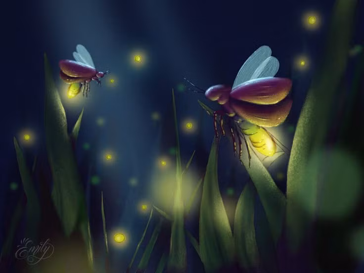  5. Đom đóm là “đèn báo động” trong tự nhiên. Ấu trùng đom đóm phát sáng để cảnh báo kẻ săn mồi rằng chúng có chứa chất độc, khiến các loài khác tránh xa. Một số loài đom đóm trưởng thành cũng có độc và phát sáng để cảnh báo. Ảnh: Pinterest.