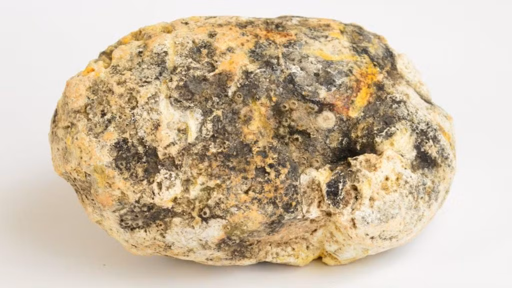 Dù ngày nay long diên hương không được sử dụng rộng rãi trong y học như trước, một số nghiên cứu đã chỉ ra rằng nó có thể có những tác dụng như chống viêm và kháng khuẩn, chống oxy hóa, hỗ trợ điều trị bệnh thần kinh. Ảnh: Pinterest.