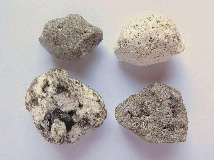 Tuy nhiên, do sự khan hiếm và giá trị cao, ngày nay long diên hương hiếm khi được dùng trực tiếp trong y học hiện đại, thay vào đó, các hợp chất tổng hợp hoặc các nguồn thảo dược khác được sử dụng thay thế. Ảnh: Pinterest.