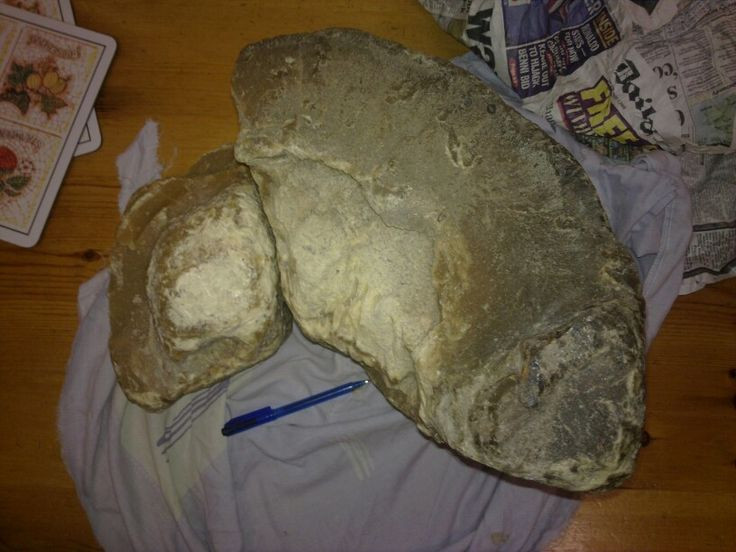 Giống như vàng trên đất liền, long diên hương có giá trị lớn trên thị trường. Nó được bán với mức giá hàng chục nghìn USD mỗi kg do sự khan hiếm và công dụng đặc biệt trong ngành công nghiệp nước hoa cao cấp. Ảnh: Pinterest.