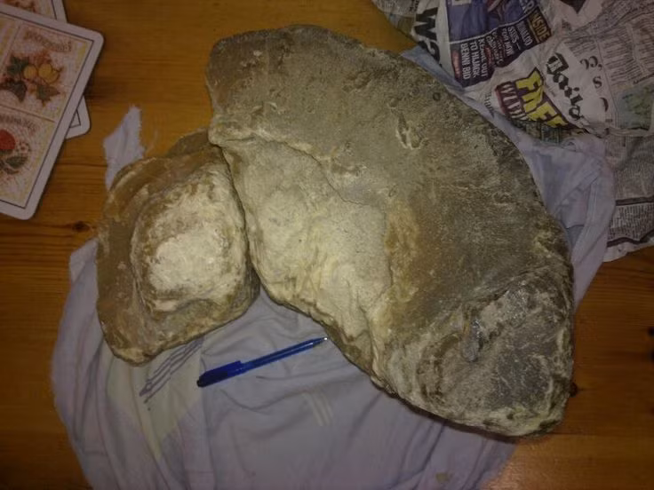 Giống như vàng trên đất liền, long diên hương có giá trị lớn trên thị trường. Nó được bán với mức giá hàng chục nghìn USD mỗi kg do sự khan hiếm và công dụng đặc biệt trong ngành công nghiệp nước hoa cao cấp. Ảnh: Pinterest.