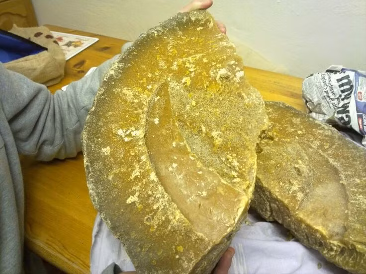  Long diên hương là chất thải tự nhiên của cá nhà táng, hình thành trong hệ tiêu hóa để bảo vệ dạ dày khỏi các vật sắc nhọn như mỏ mực. Khi được thải ra môi trường, nó trôi dạt trên biển trong nhiều năm, chịu tác động của nước và ánh nắng mặt trời, tạo ra hương thơm đặc biệt. Ảnh: Pinterest.