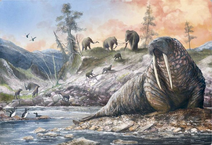  2. Doggerland có hệ sinh thái phong phú. Vùng đất này từng là một thảo nguyên rộng lớn với sông ngòi, hồ nước và các khu rừng, là nơi sinh sống của nhiều loài động vật lớn như voi ma mút, tê giác lông mượt, hươu và bò rừng. Ảnh: Pinterest.