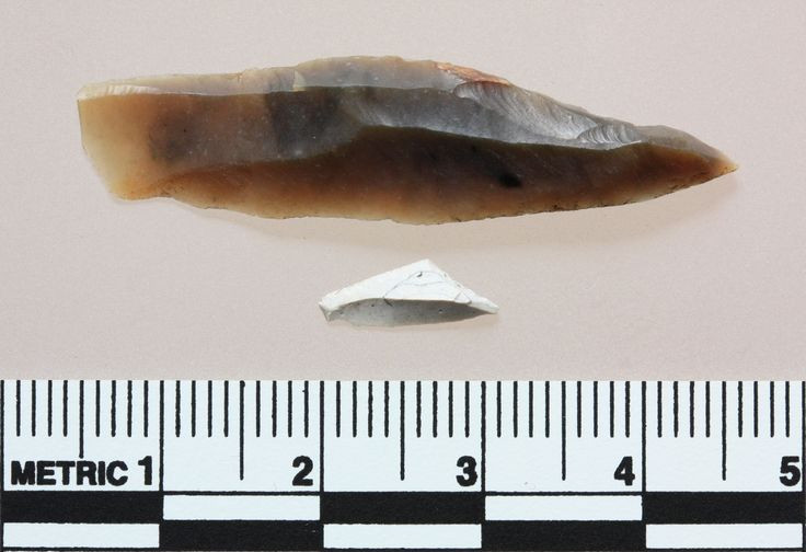  6. Ngư dân vô tình tìm thấy dấu vết của Doggerland. Những bằng chứng về Doggerland được phát hiện khi ngư dân kéo lưới ở biển Bắc và tìm thấy xương động vật cổ đại, công cụ bằng đá, cùng với hóa thạch của các loài thực vật từng sinh trưởng ở đây. Ảnh: Pinterest.